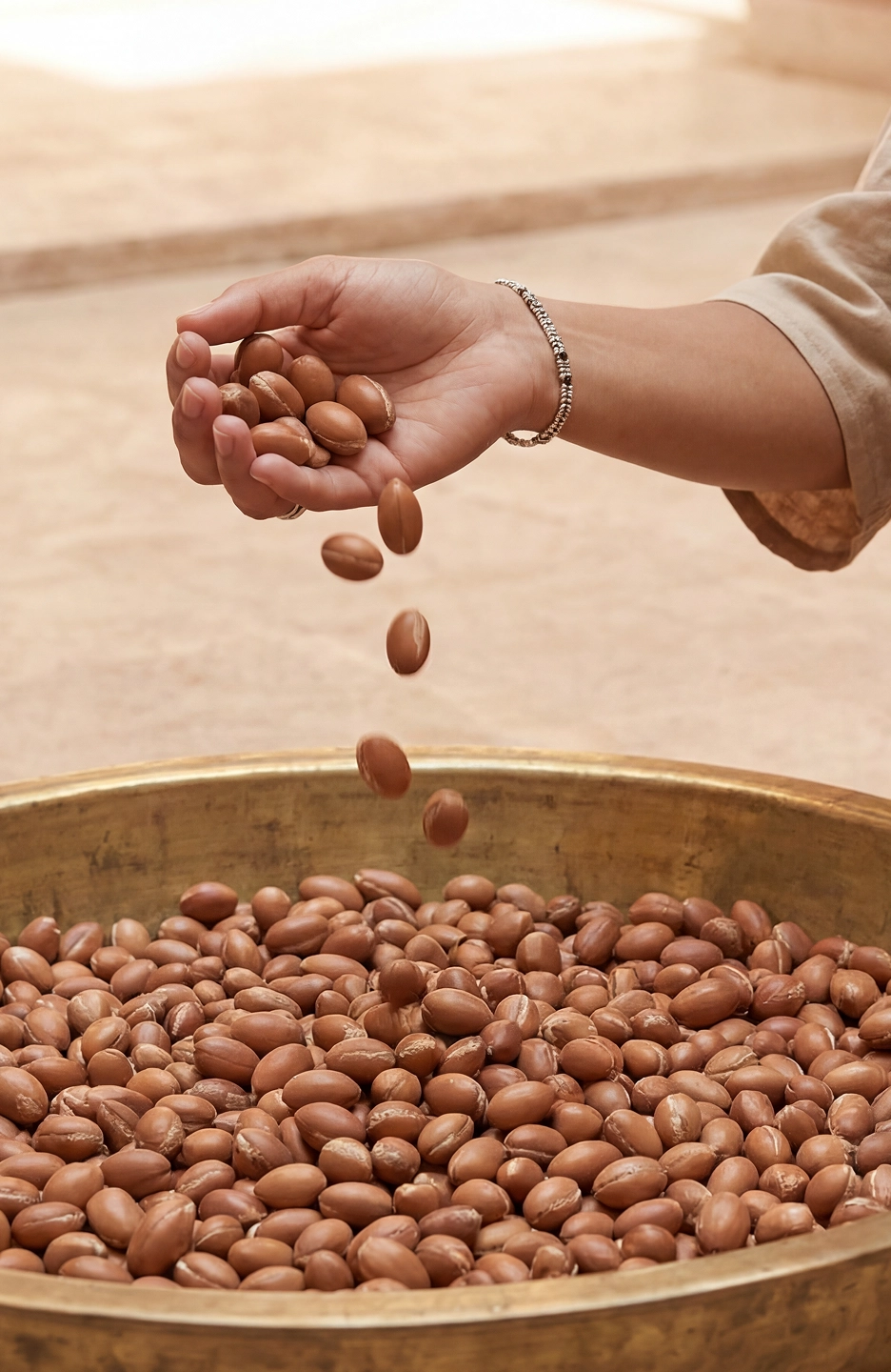 Noix d'argan brutes triées à la main plateau laiton sourcing Maroc – ingrédient clé cosmétiques Belmés Profissional