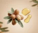 Noix d'argan du Maroc avec feuilles d'arganier et gouttes d'huile dorée – ingrédient huile d'argan pure soin naturel Belmés Profissional